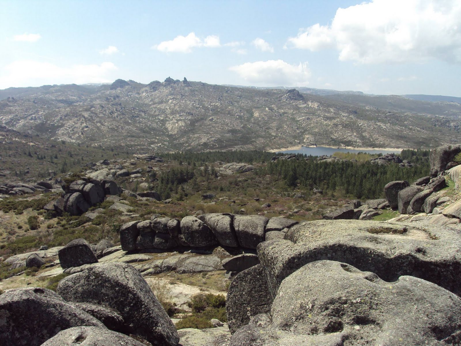 La lechuza: Portugal 3. Serra da Estrela II
