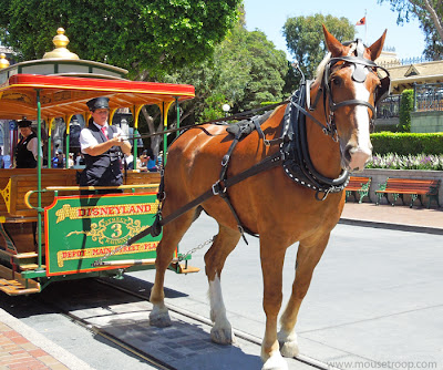 Disneyland Horse Drawn Street Car Main Street