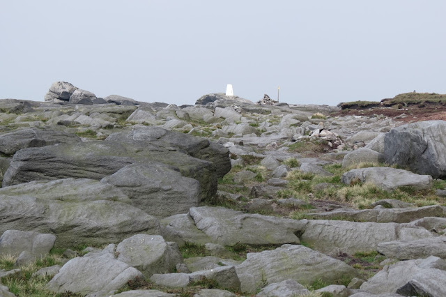 The white OS trig column standing amidst a field of boulders.