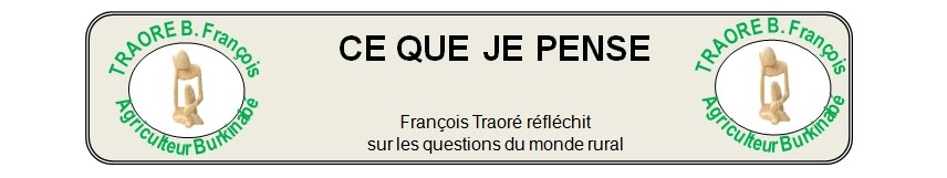 TRAORE B. François : ce que je pense