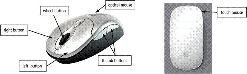 Press mouse button. Computer mouse left click button. Правая кнопка мыши. Значок мышь компьютерная левая кнопка. Клик тест.