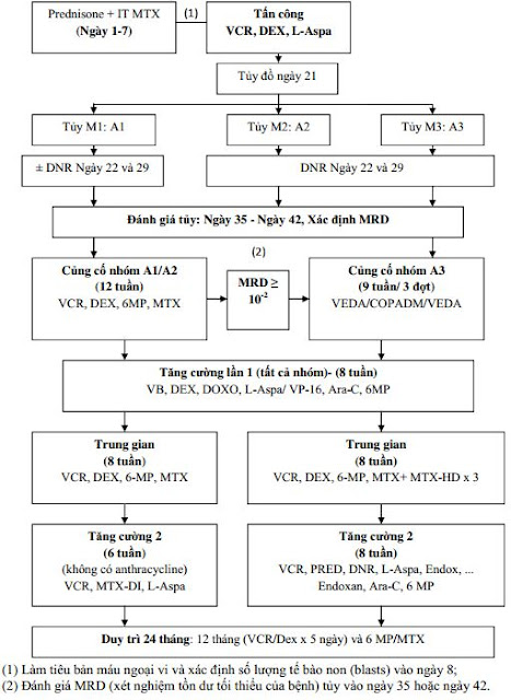 Phác đồ điều trị lơ xê mi cấp dòng lympho B nhóm A