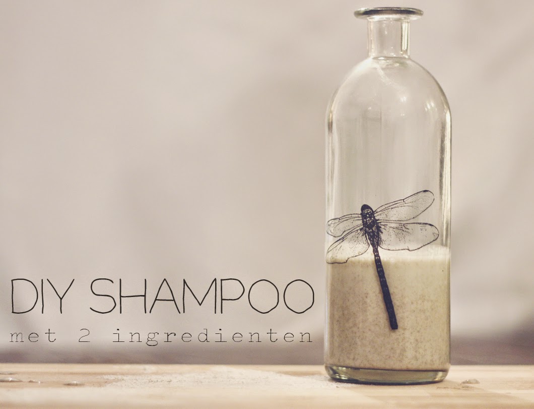 fax begrijpen Shipley DIY shampoo - Het Zero Waste Project