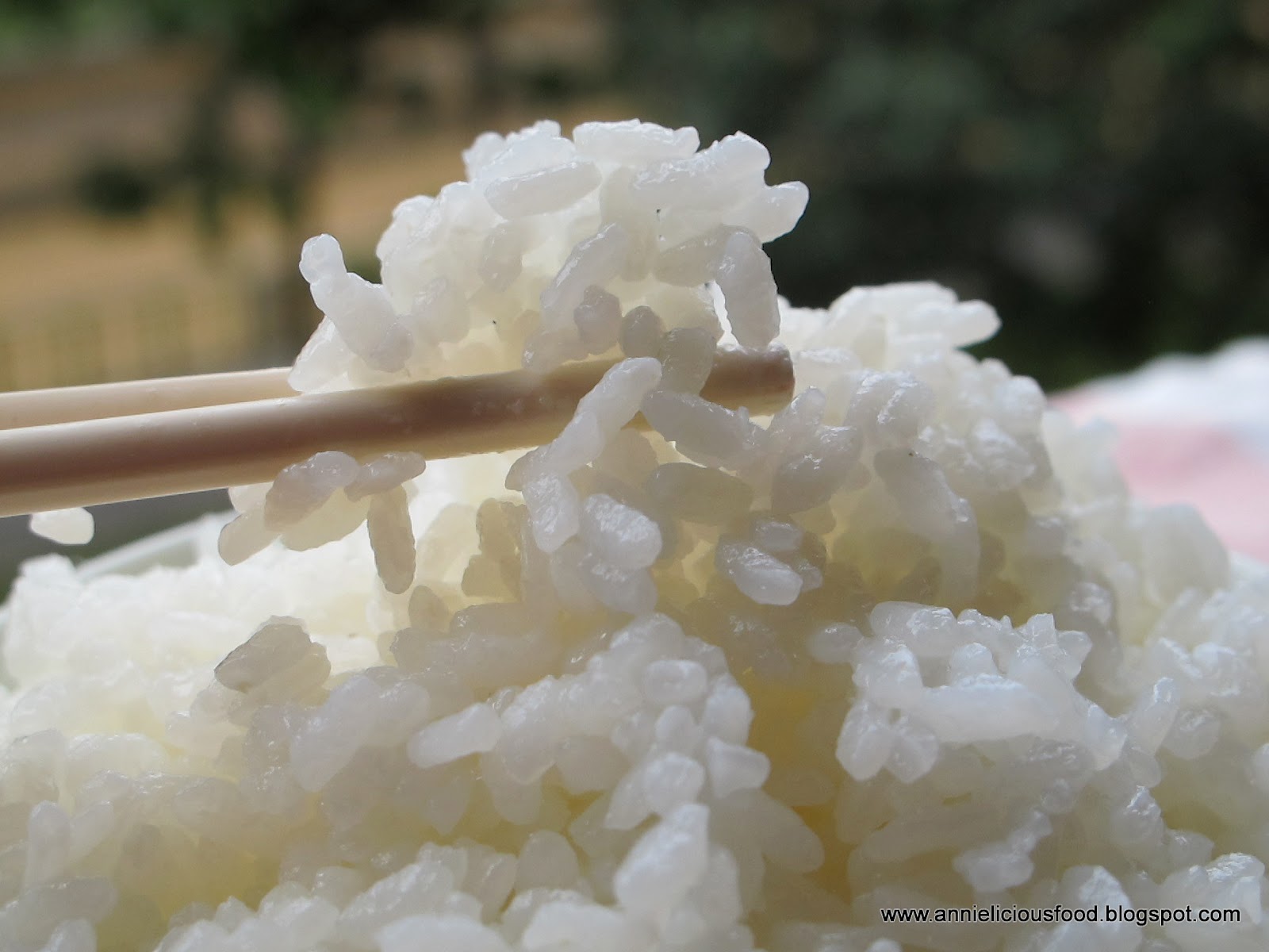 японец с рисом. рис японка как выглядит. рис хакумай. какой рис в японии. какой рис в японии.