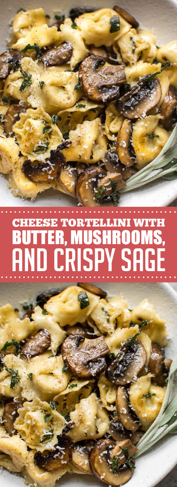 Cheese Tortellini with Butter, Mushrooms, and Crispy Sage Idnewstimes