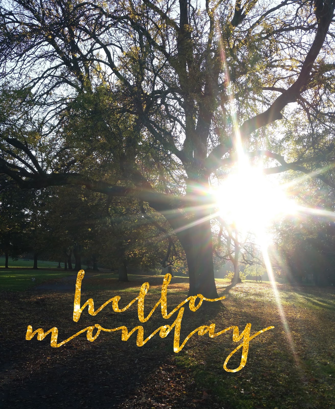 Monday november 28, 2016 BEDN Day 2 - Hello Monday. Hello November - A look back at October and