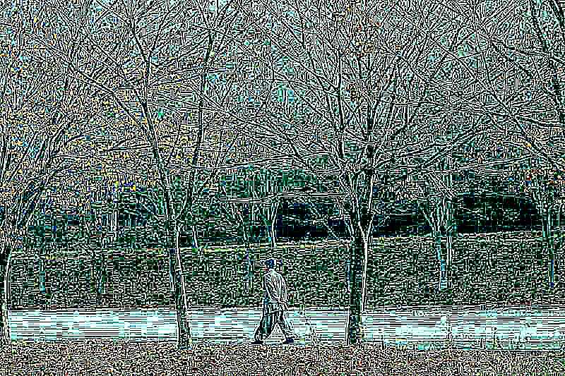 화순 영구산 운주사 화순 영구산 운주사