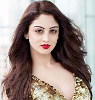 Sandeepa Dhar Family Husband Son Daughter Father Mother Marriage Photos Biography Profile.