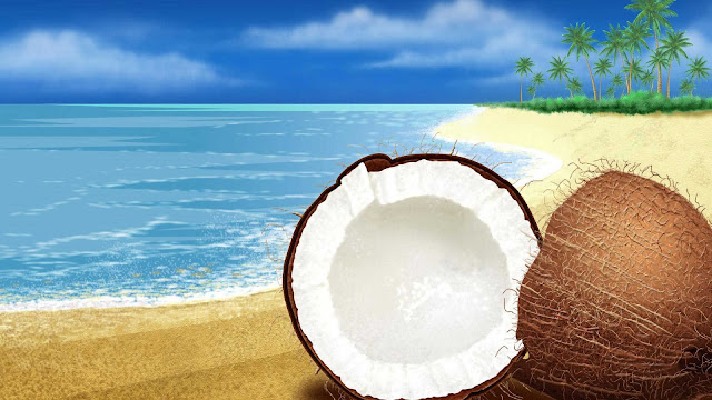 gambar buah kelapa