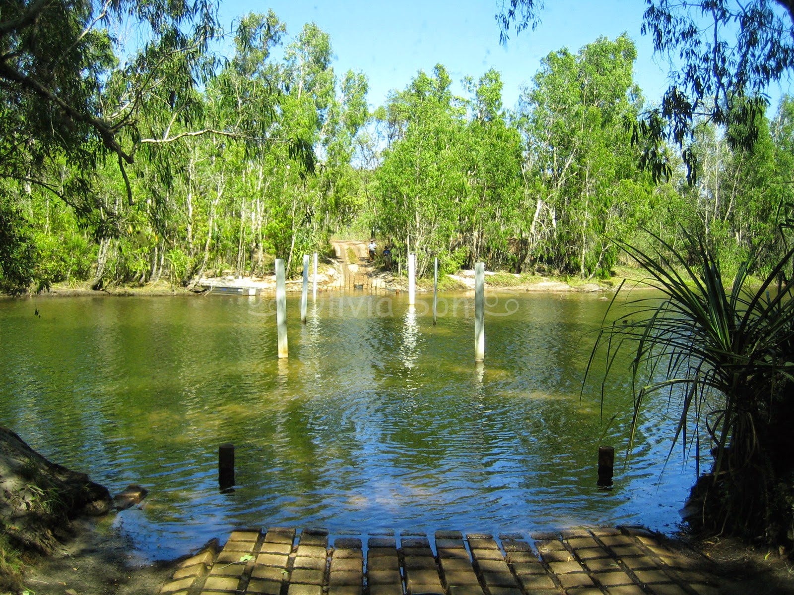 Kakadu National Park, Northern Territory, Australie