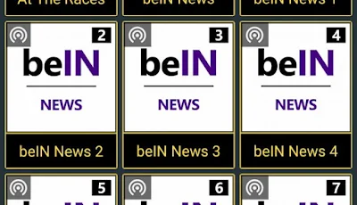 تطبيق بث مباشر للقنوات المشفرة للاندرويد, تطبيق Pocket TV للأندرويد, افضل تطبيق لمشاهدة القنوات المشفرة