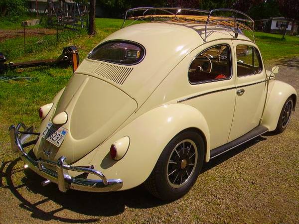 Vw Beetle Wiring Harness