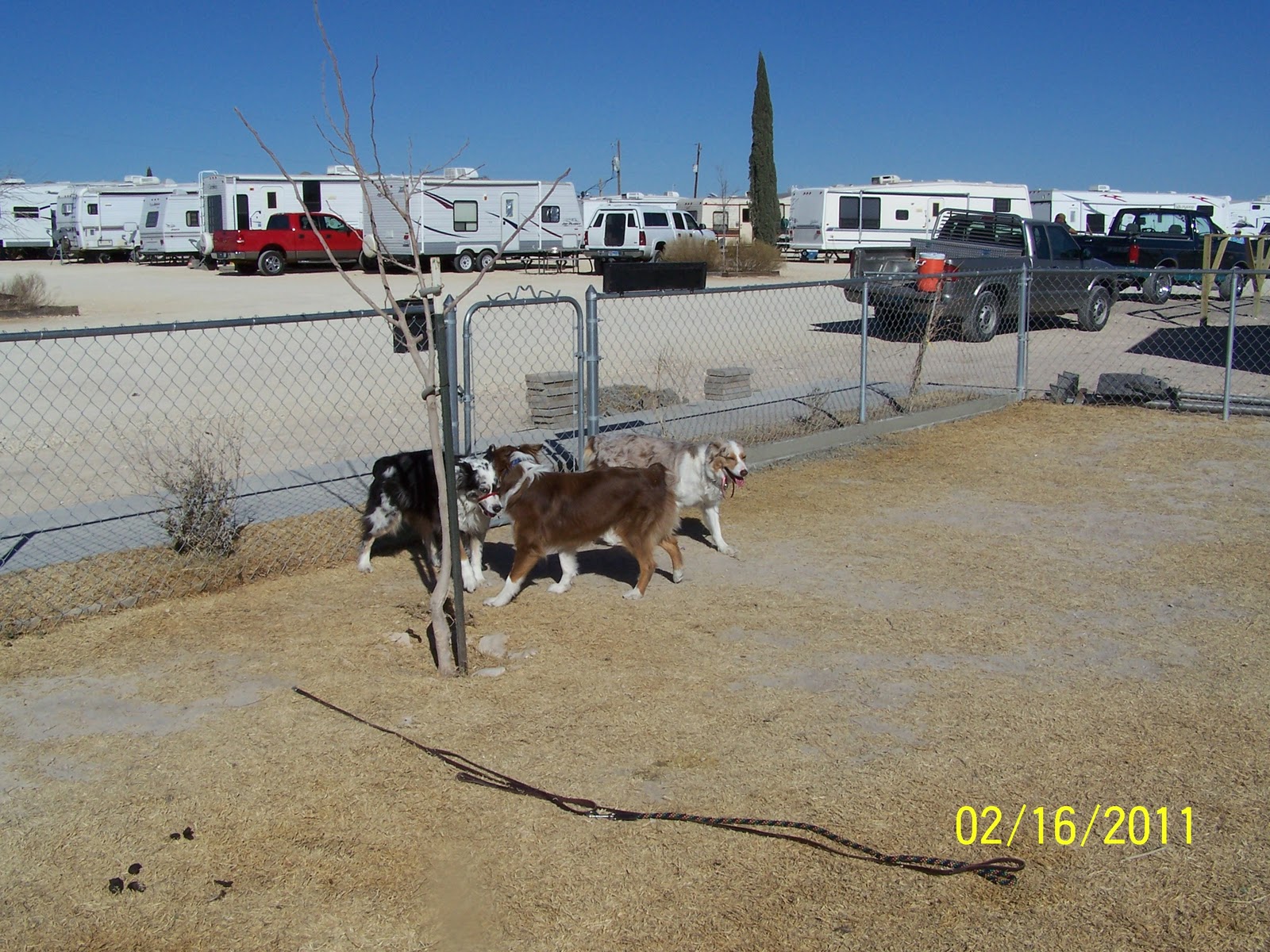 Bill and Dawn's Excellent Adventure 3 Balmorhea State Park and Van