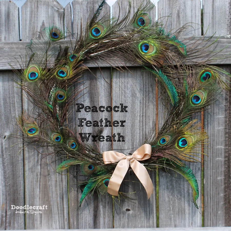 40 Peacock Feathers (Pack of 100)
