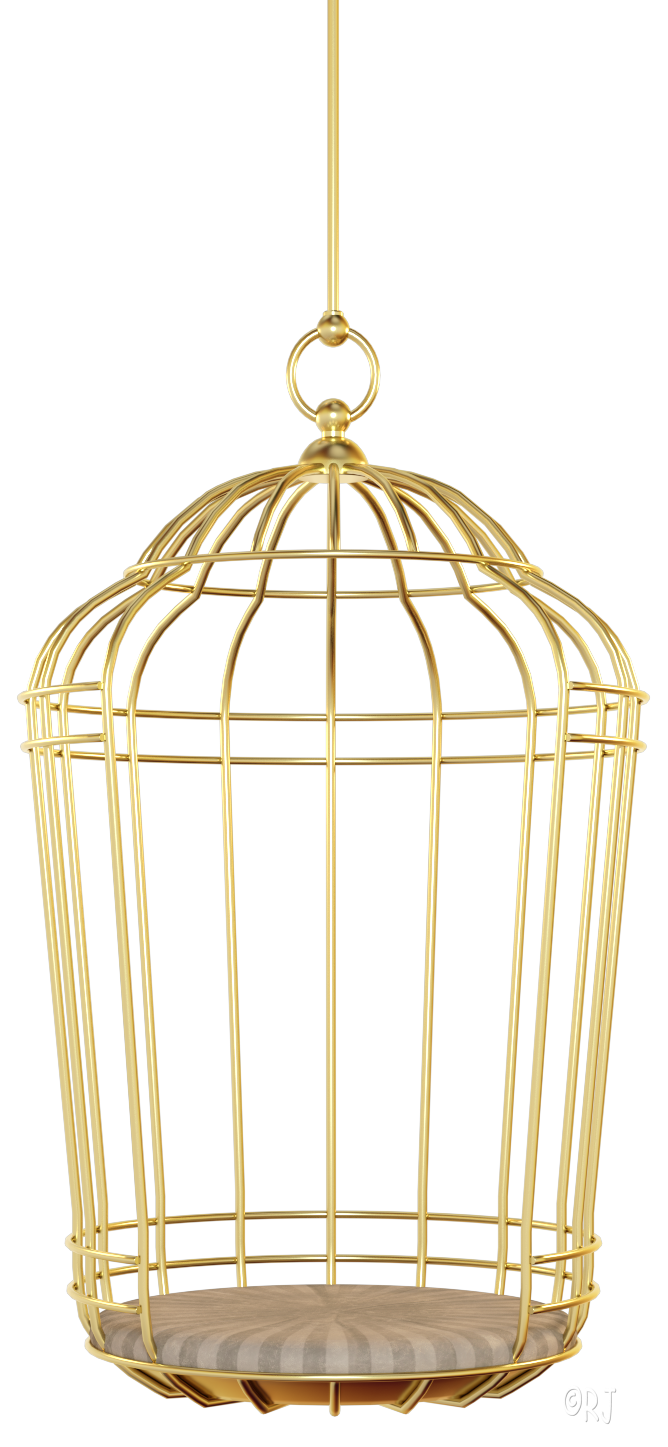 RJs DazZariffic Spot Birdie In a Gilded Cage