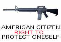 Weapons Control Law