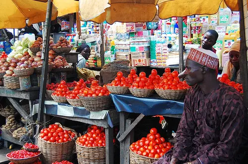 Tomatoes sold at market in Nigeria