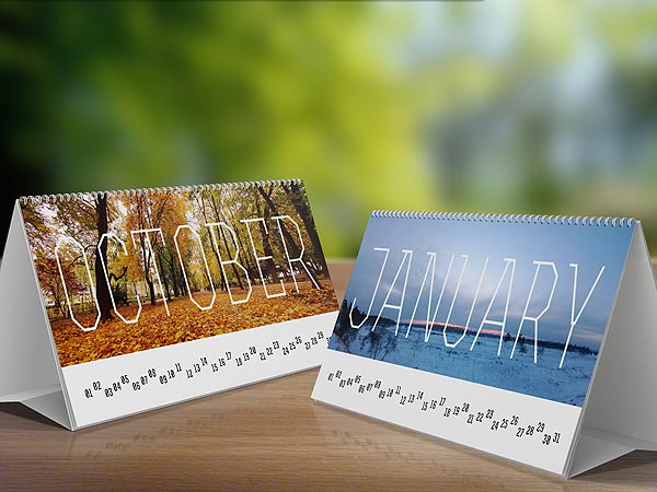 2013 calendar design