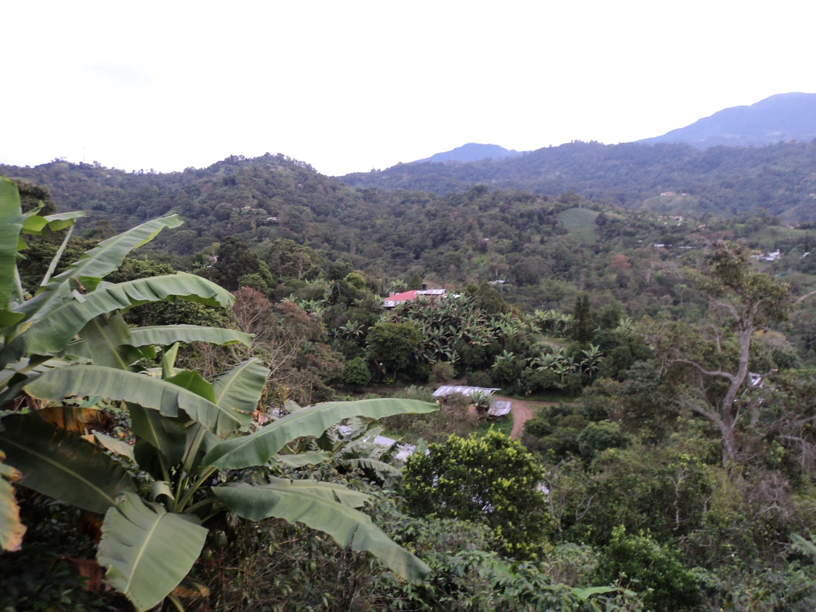 CARTURISMO Fotos Anolaima (Cund.)