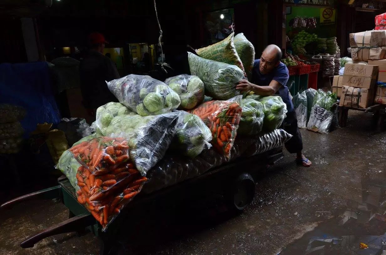 Vegetable Porters La Trinidad Benguet & Baguio City AvianQuests