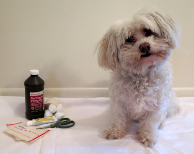 What's worse, over-vaccinating or under-vaccinating your dog?