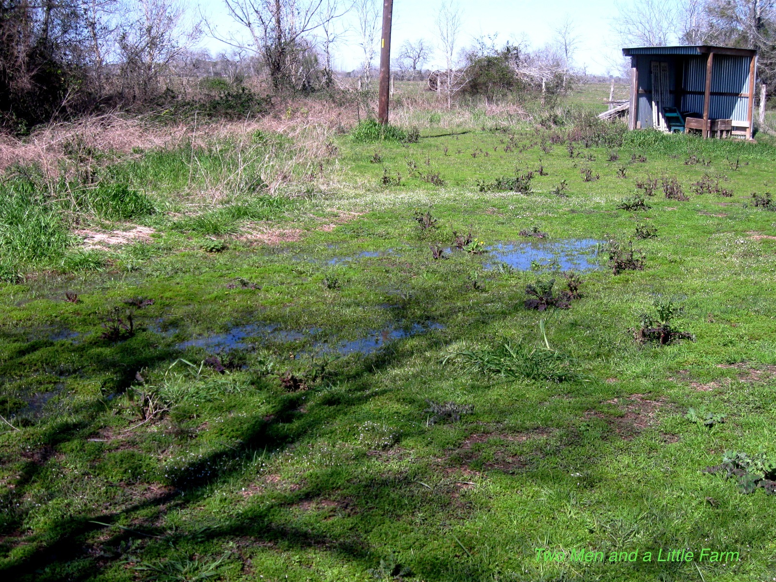 Two Men and a Little Farm WATER LOGGED YARD