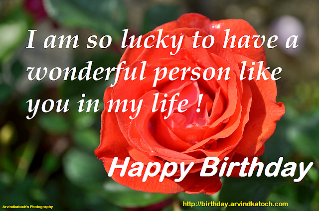 Birthday Card, Happy Birthday, Card, Rose Card, Wonderful person