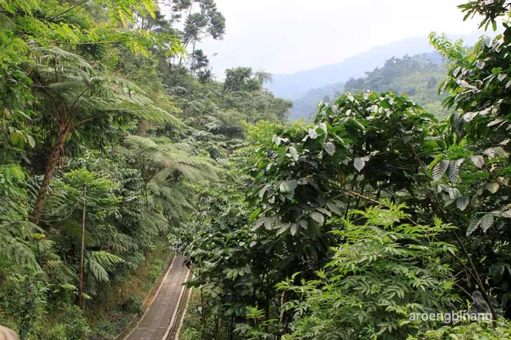 air panas ciparay bogor