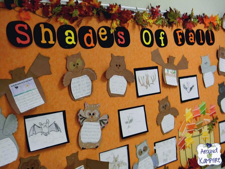 fall bulletin board bats owls shades of meaning vocabulary leaves