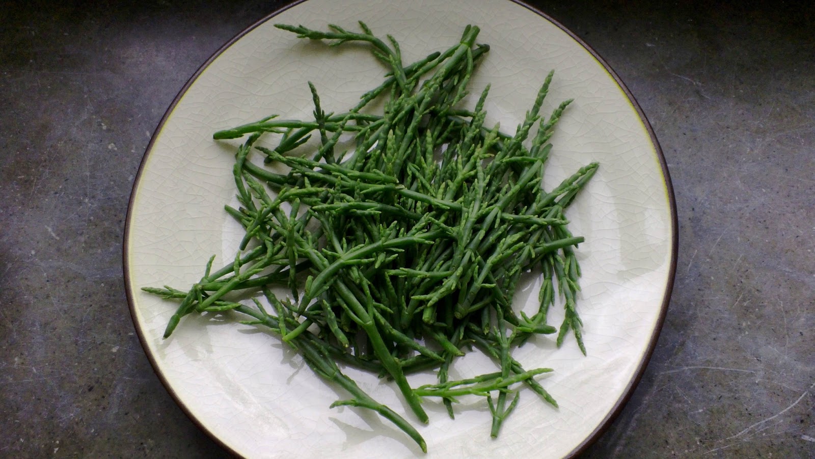 Miss Meisters mat med mera...: Haricot de mer - sjökorall