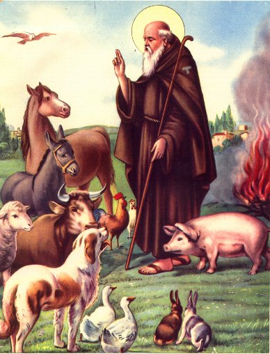 Father Julian's Blog: St Anthony, abbot