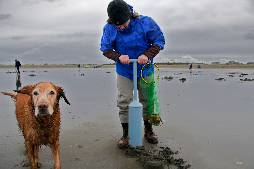 Fat of the Land Razor Clam Linguini