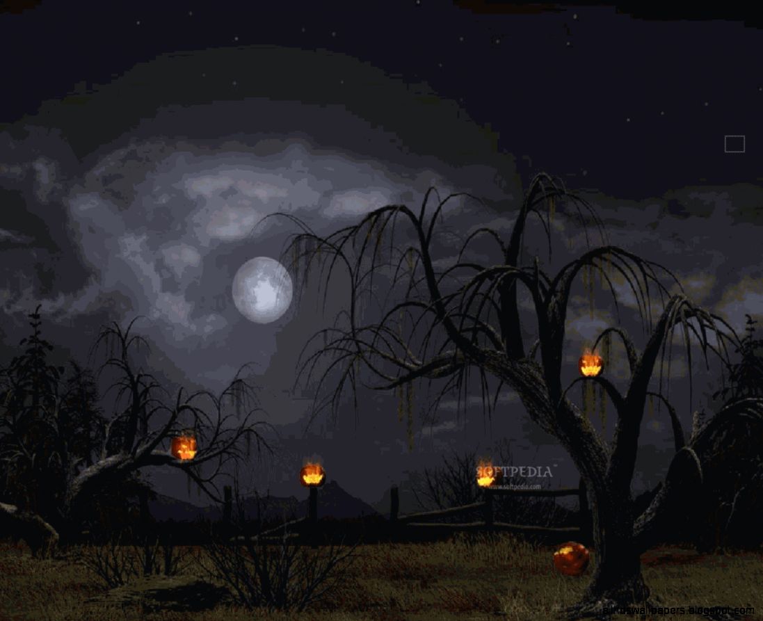 Halloween Animated Wallpaper  My image