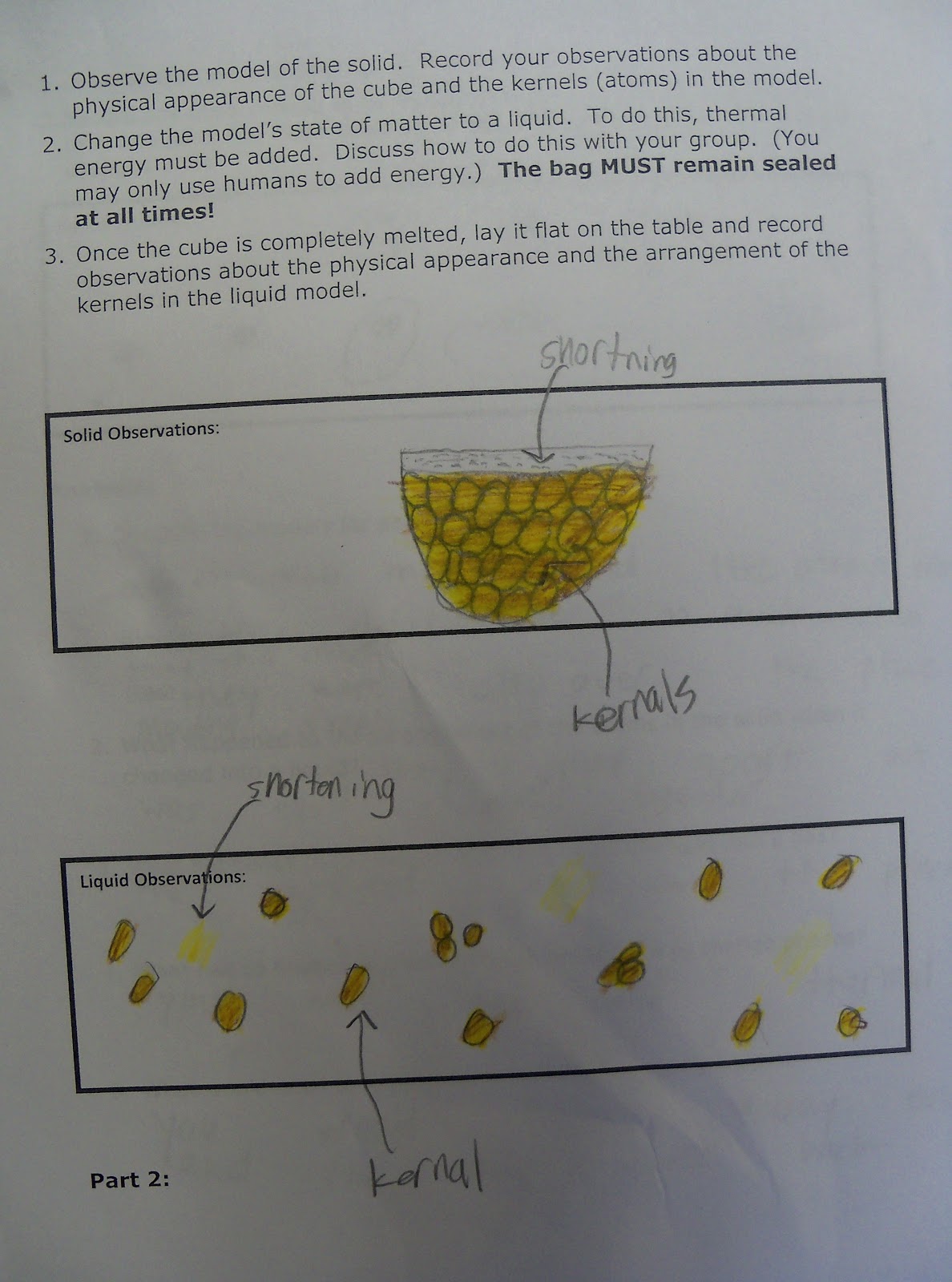 The 4th Grade Mayniacs Popcorn Lab