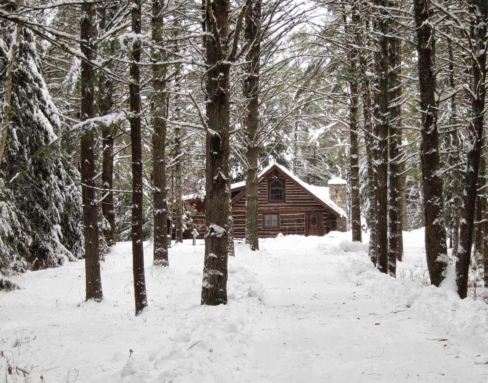 Snowy Cabin In The Woods Images Minimalist Interior Design