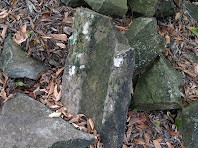 Restes de pedres treballades de Sabruneta