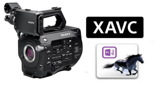 Xdcam codec for windows