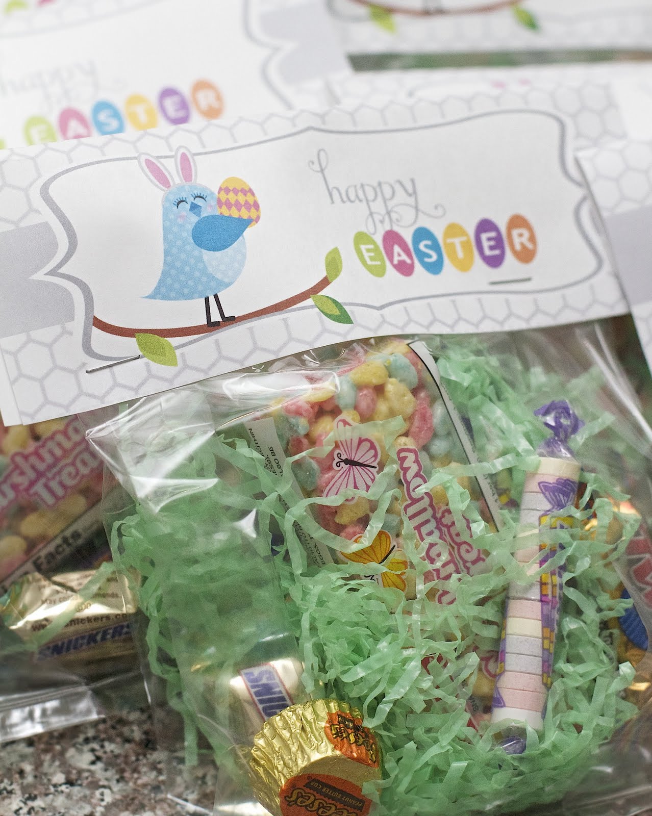 Love, Laughter & Decor Easter Treat Bags