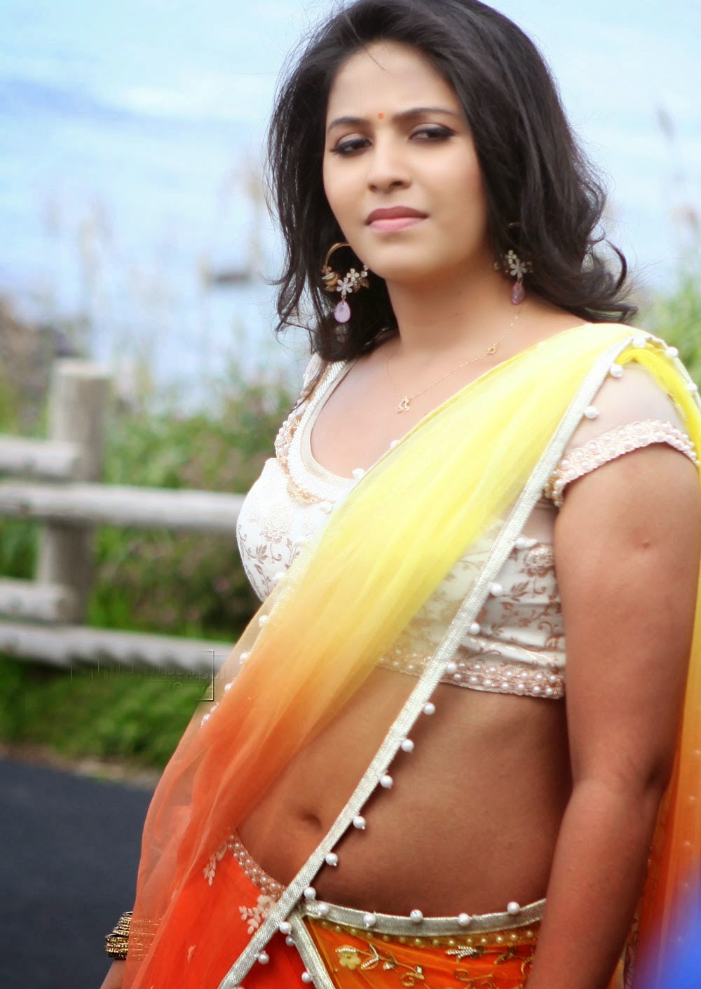 Hot Actress Anjali Low Hip Saree Below Navel Photos South Indian
