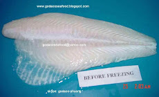 Semi-trimmed Basa Fillet / Semi trimmed Pangasius Fillet - red meat off, fat off, belly on