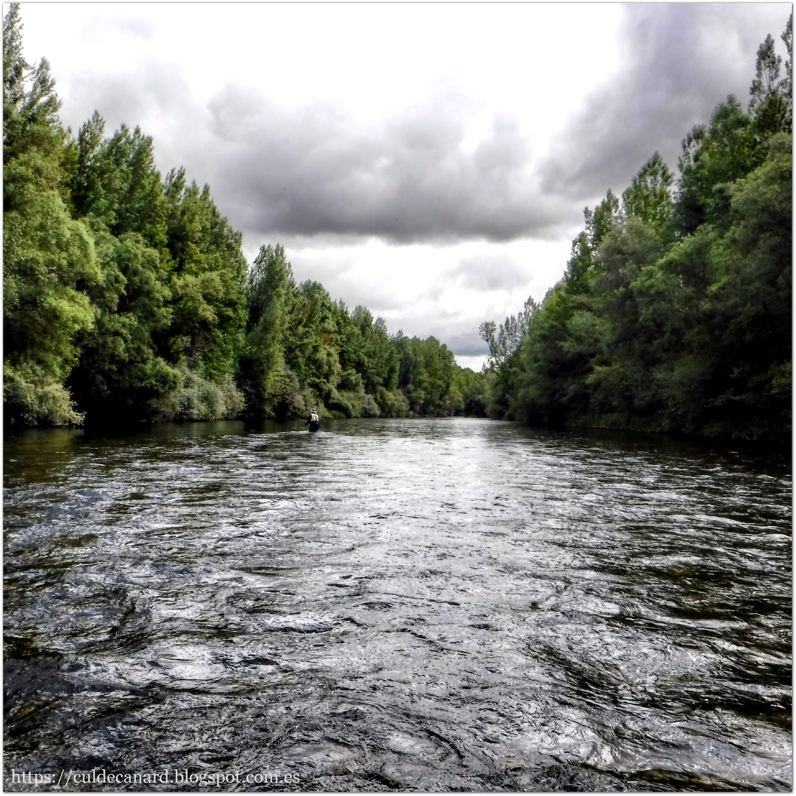 Río grande, truchas pequeñas
