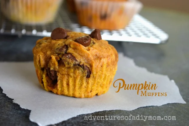 Pumpkin Chocolate Chip Muffins Recipe