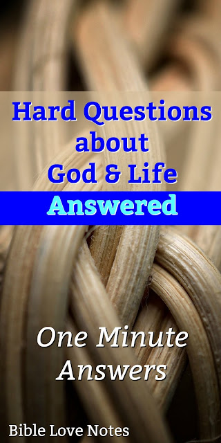 This collection offers more than 50 one-minute devotions answering hard questions about Christianity such as "Why is there senseless suffering?" and "Why do we suffer for Adam's sin?"