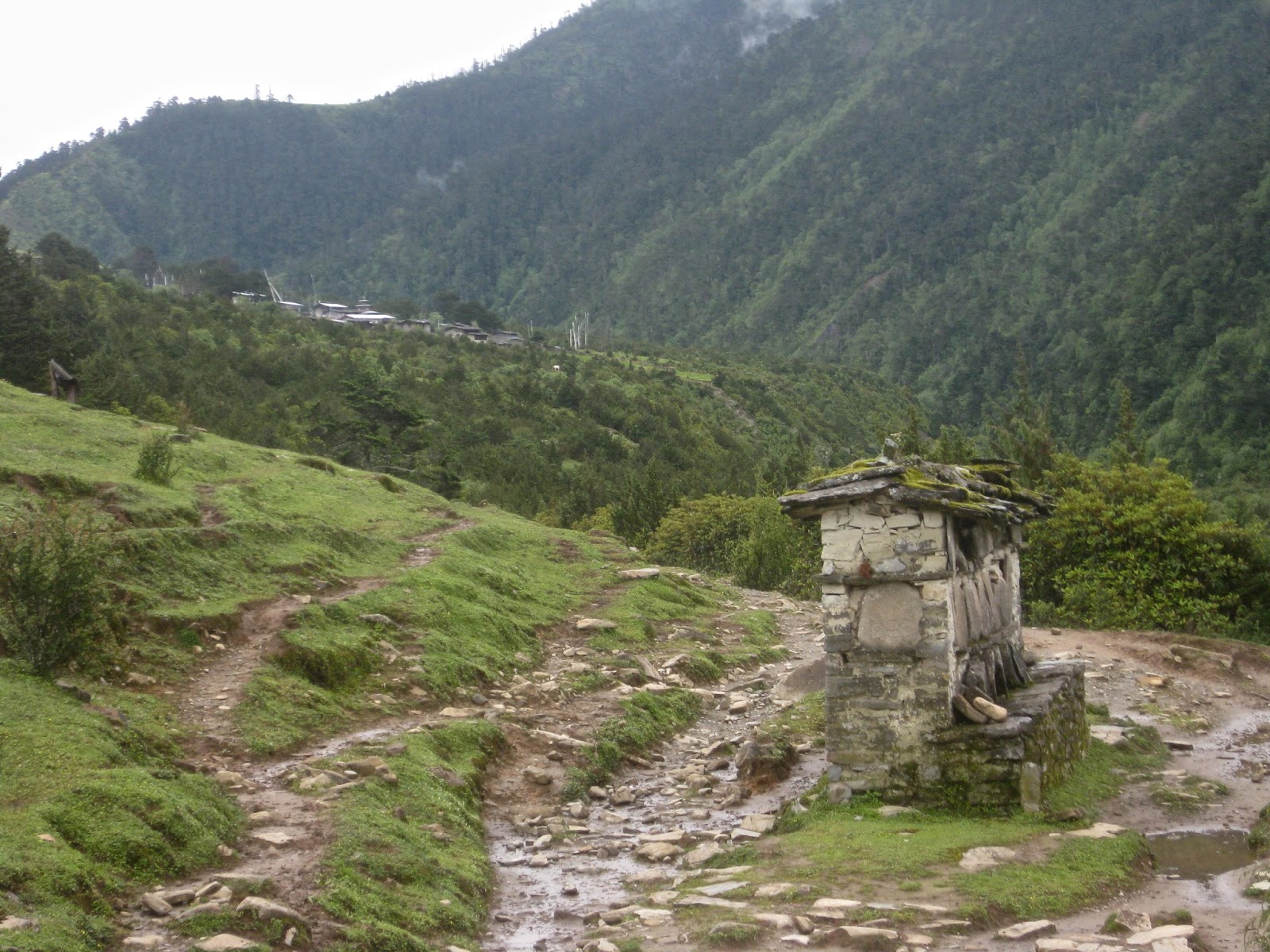 Yankee in Bhutan: What I Did On My Summer Vacation: MERAK