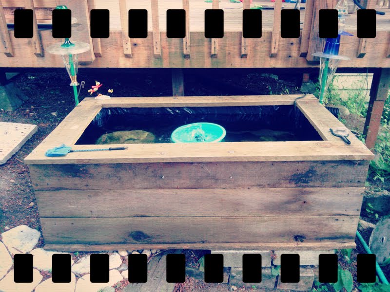 above ground koi pond preparing the ground
