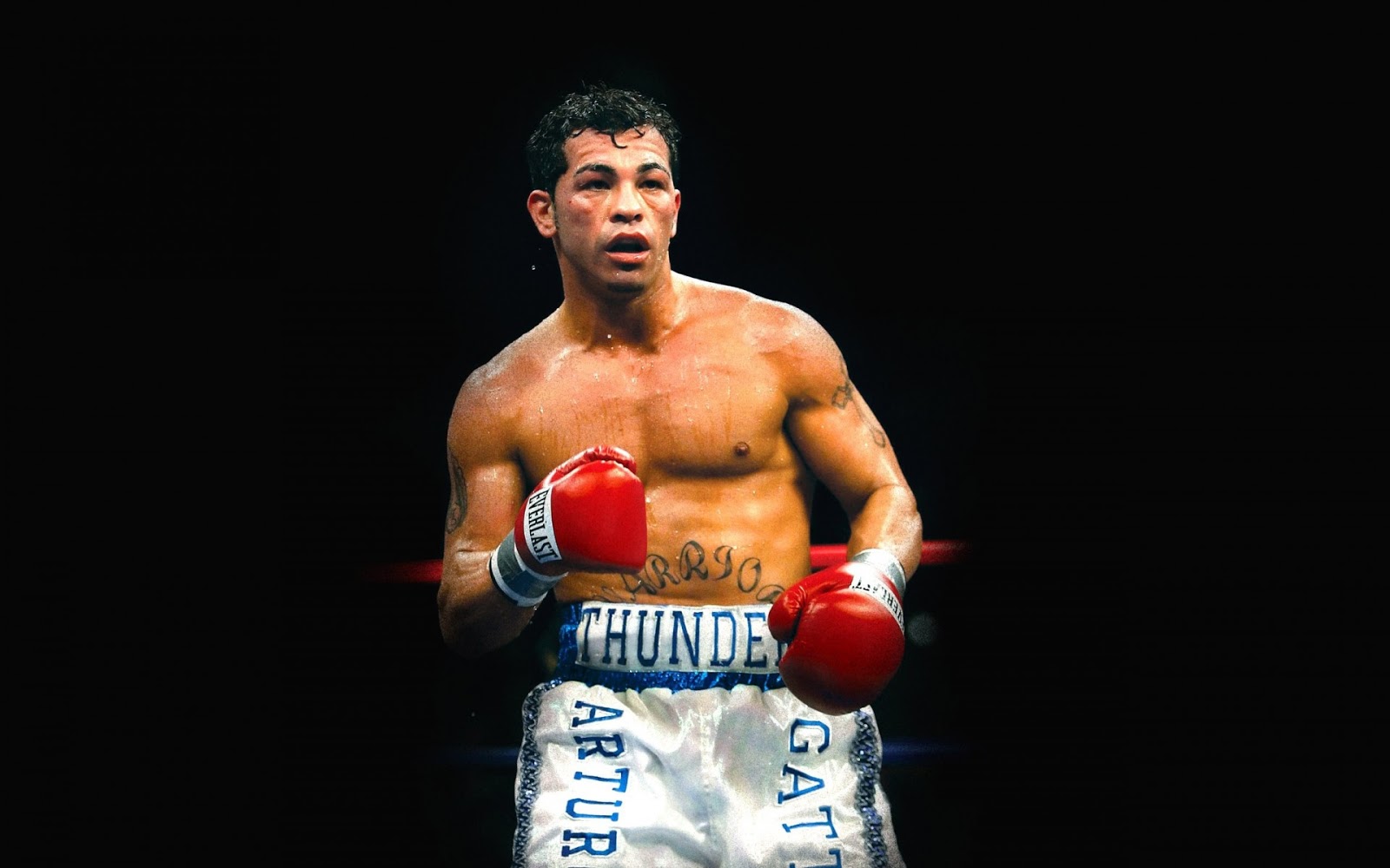 DOCE ONZAS ARTURO "THUNDER" GATTI Y VIRGIL "QUICKSILVER" HILL INGRESAN