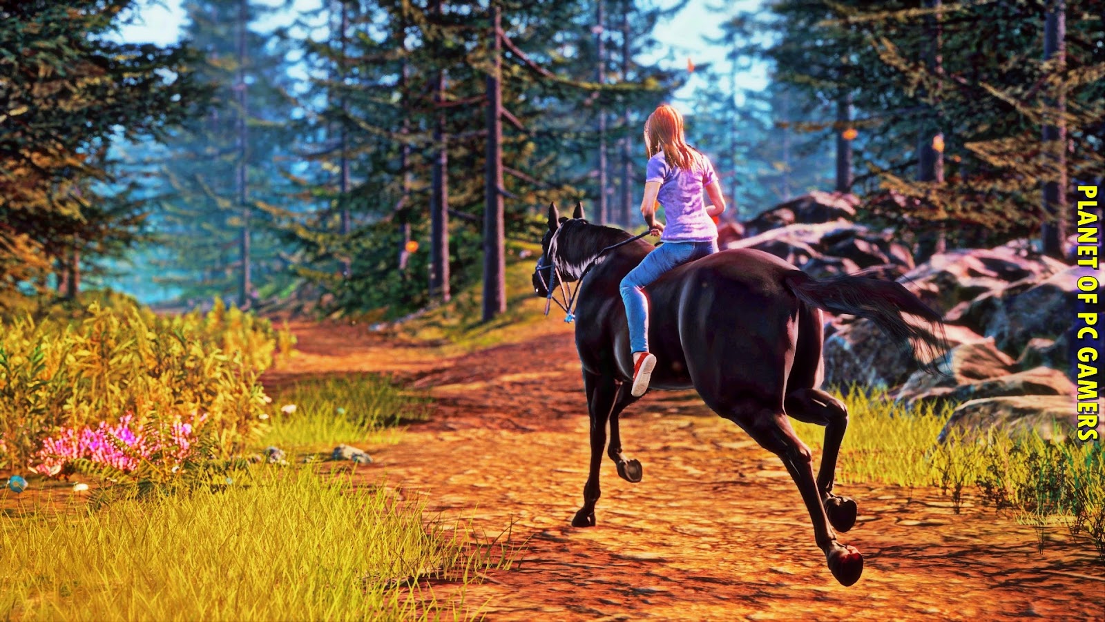 Of Pc Gamers WINDSTORM ARIS ARRIVAL PC GAME DOWNLOAD