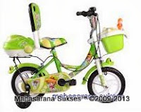Sepeda Anak Evergreen AH42 Princess dengan Sandaran 12 Inci