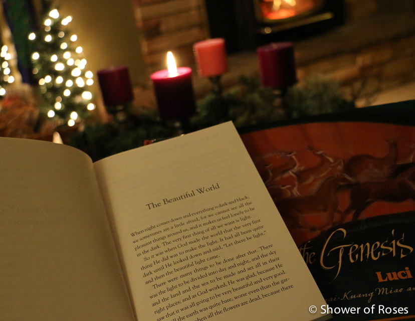 Shower of Roses The Jesse Tree ReadAloud Book of Bible Stories