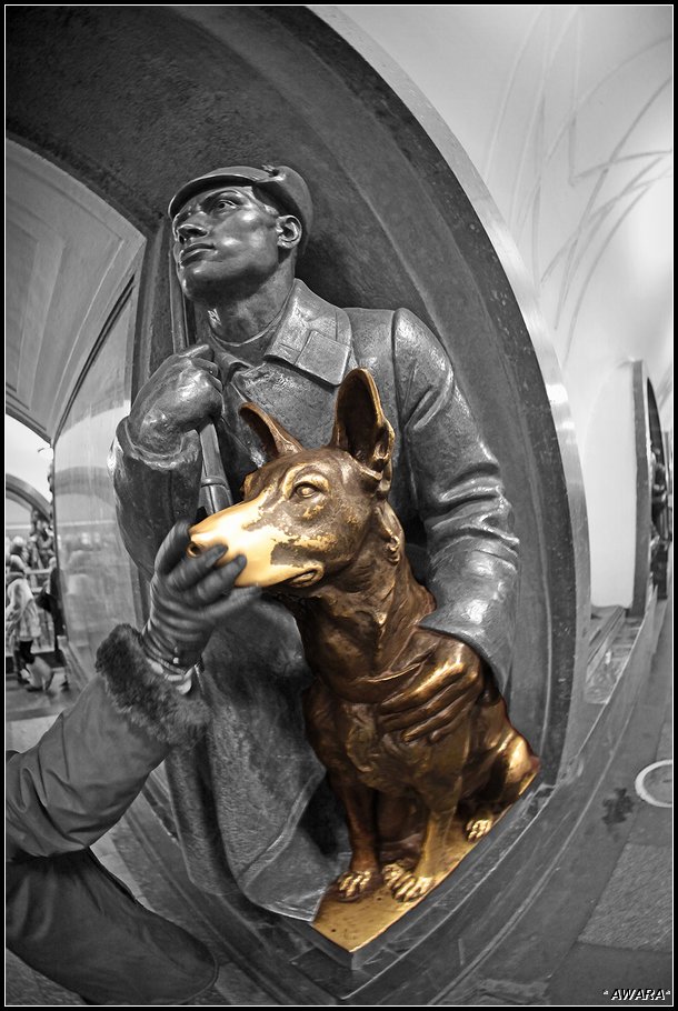 Собака на площади революции в москве